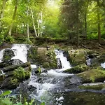Harz - Blockhaus Mit Sauna Und Kamin, 4 Und 5 Sterne, Ch