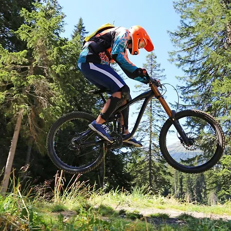 Harz - Blockhaus Mit Sauna Und Kamin, 4 Und 5 Sterne, Ch Feriehus