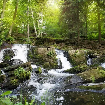 Harz - Blockhaus Mit Sauna Und Kamin, Comfort -