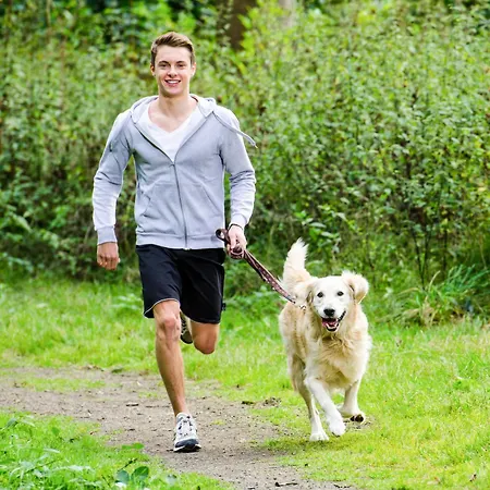 Harz - Blockhaus Mit Sauna Und Kamin, 4 Und 5 Sterne, Ch Feriehus Goslar
