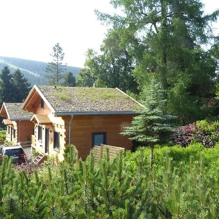 Harz - Blockhaus Mit Sauna Und Kamin, Comfort -