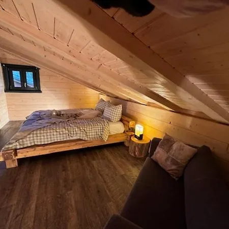 Holiday home Harz - Blockhaus Mit Sauna Und Kamin, Comfort -