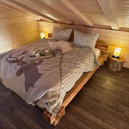 Harz - Blockhaus Mit Sauna Und Kamin, Comfort -