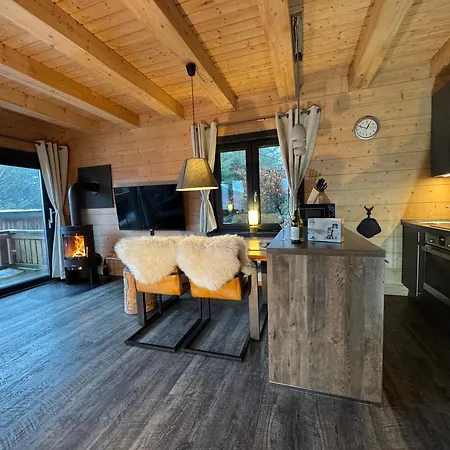 Harz - Blockhaus Mit Sauna Und Kamin, Comfort -