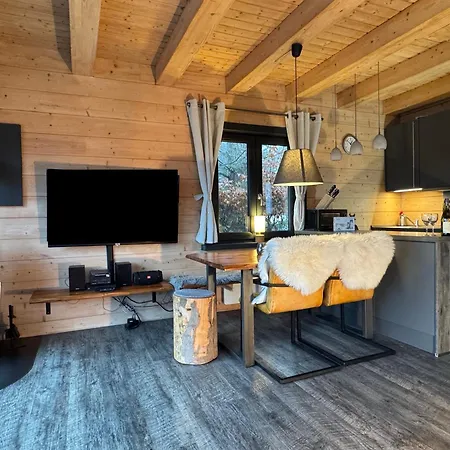 Harz - Blockhaus Mit Sauna Und Kamin, Comfort -