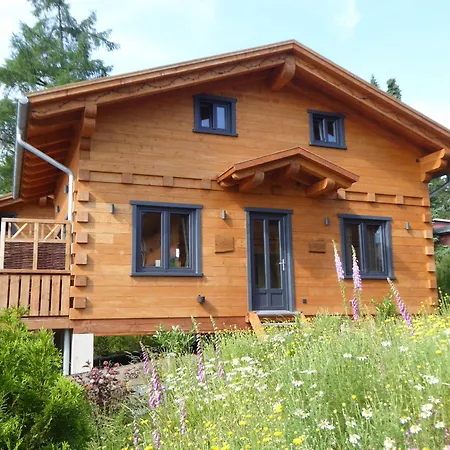 Holiday home Harz - Blockhaus Mit Sauna Und Kamin, Comfort -