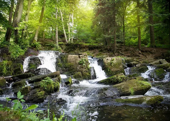 Harz - Blockhaus Mit Sauna Und Kamin, 4 Und 5 Sterne, Ch
