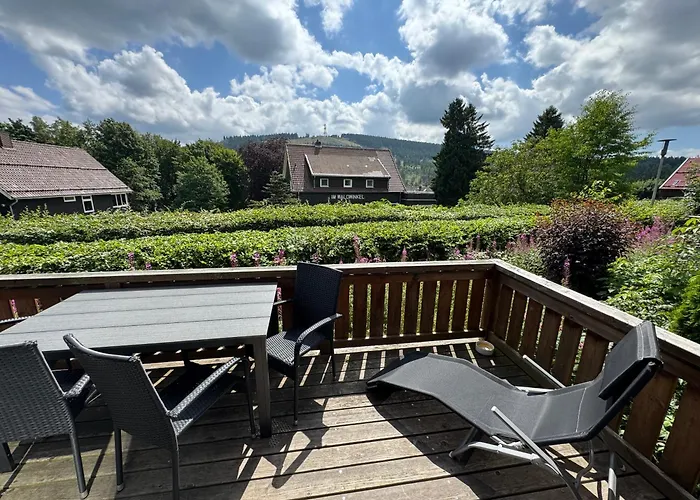 Hébergement de vacances Harz - Blockhaus Mit Sauna Und Kamin, 4 Und 5 Sterne, Ch *