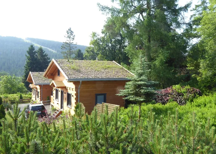 Harz - Blockhaus Mit Sauna Und Kamin, 4 Und 5 Sterne, Ch * Goslar